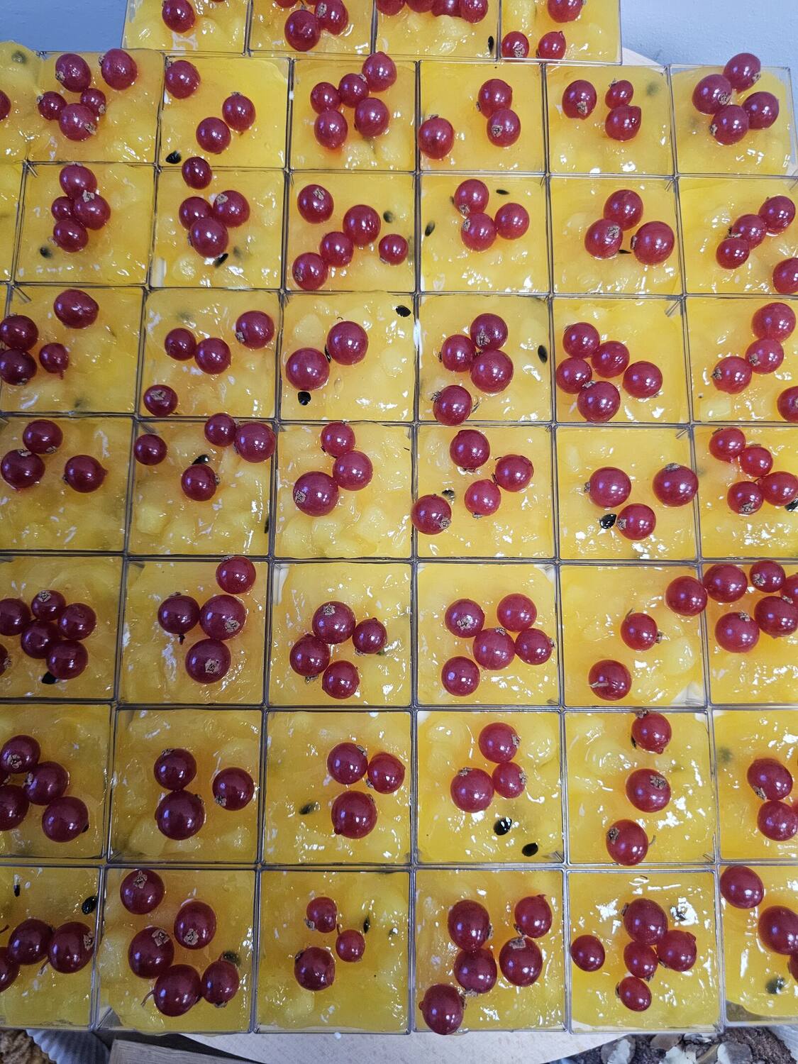 Ciasto z porzeczkami z pracowni cukierniczej byJelonek